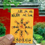Taoist Protective Amulet（Luck and Health）