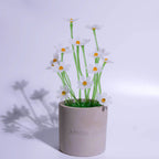White Liuli Crystal Daisy Bonsai（Vitality and Hope）