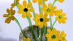 Yellow Liuli Crystal Daisy Bonsai（Vitality and Hope）