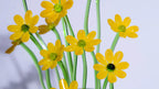 Yellow Liuli Crystal Daisy Bonsai（Vitality and Hope）