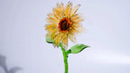 Liuli Crystal Sunflower （Vitality and Energy）