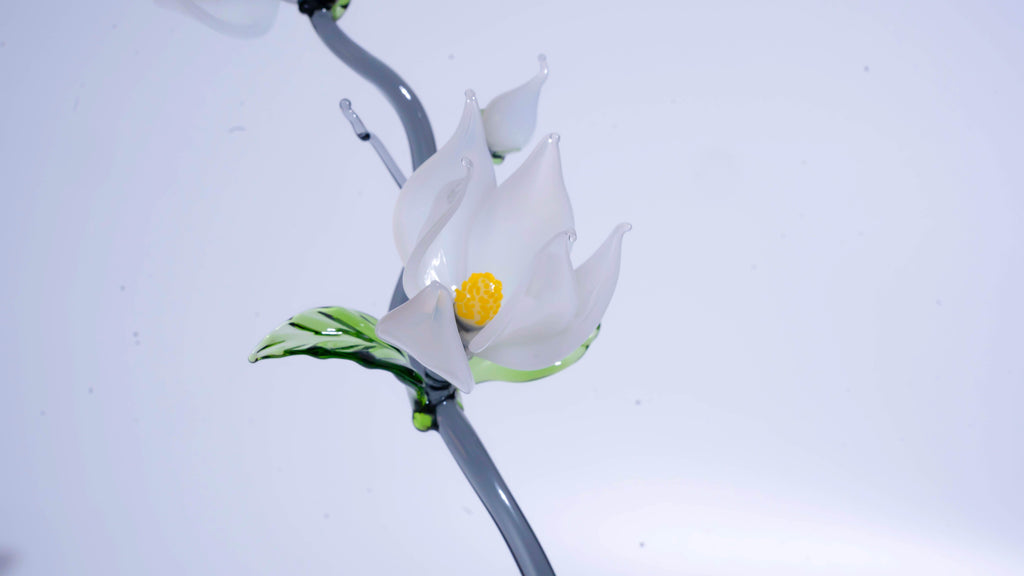 White LiuLi Crystal Orchid（Academic Advancement）