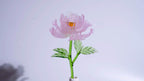 Pink Liuli Crystal Peony（Business Thriving）