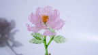 Pink Liuli Crystal Peony（Business Thriving）