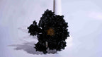 Black Liuli Crystal Peony（Business Thriving）