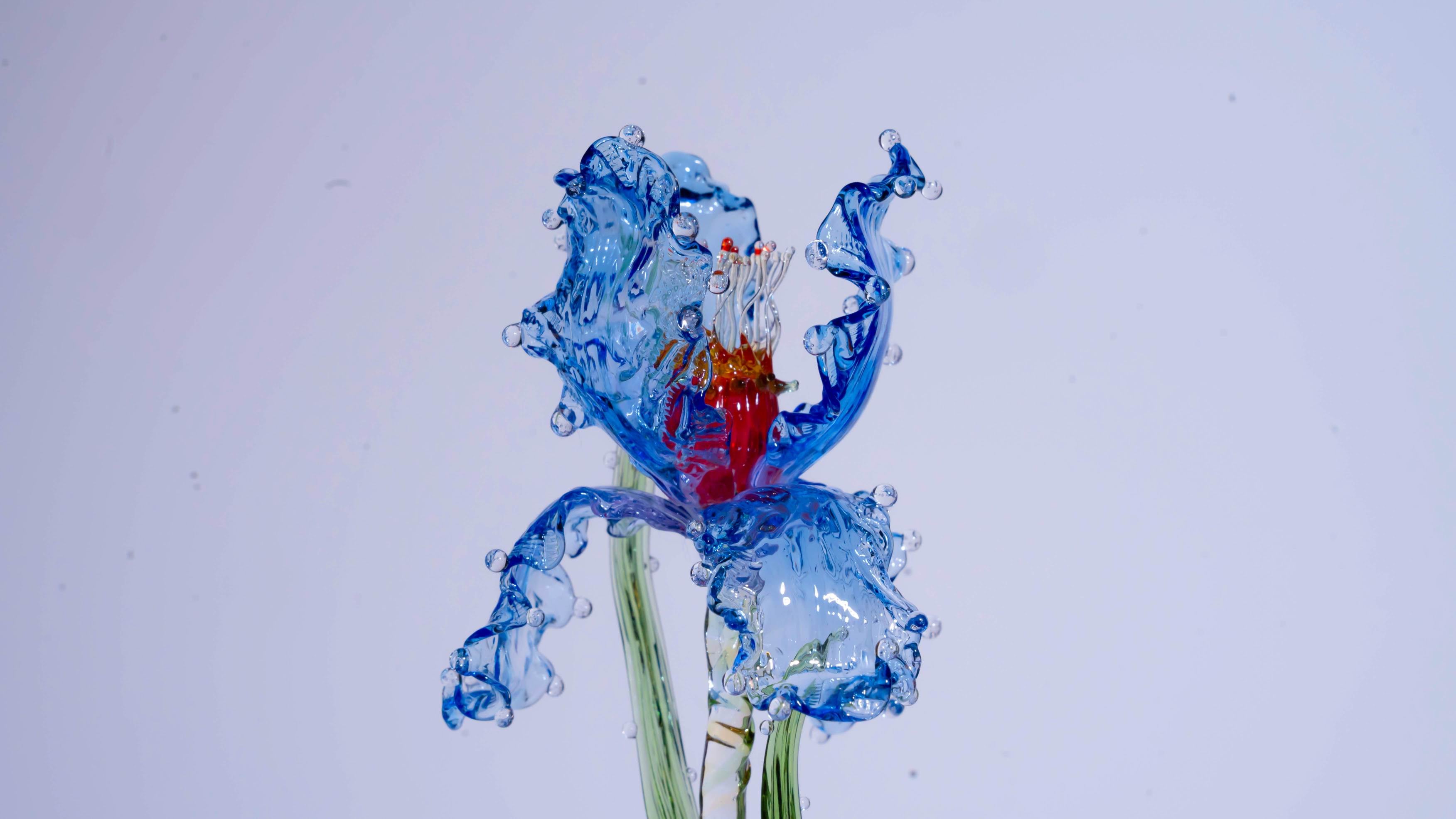 Blue Liuli Crystal Iris （Wisdom and Enlightenment）