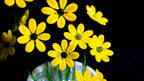 Yellow Liuli Crystal Daisy Bonsai（Vitality and Hope）