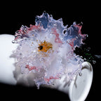 Red white LiuLI Crystal Peony（Business and Investment）