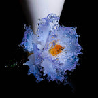 Purple Liuli Crystal Peony（Business and Investment）