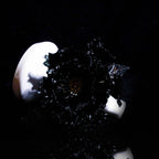 Black Liuli Crystal Peony（Business Thriving）