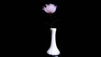 Pink LiuLi Crystal Rose （Love and Communication）