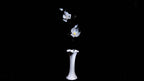 White LiuLi Crystal Orchid（Academic Advancement）
