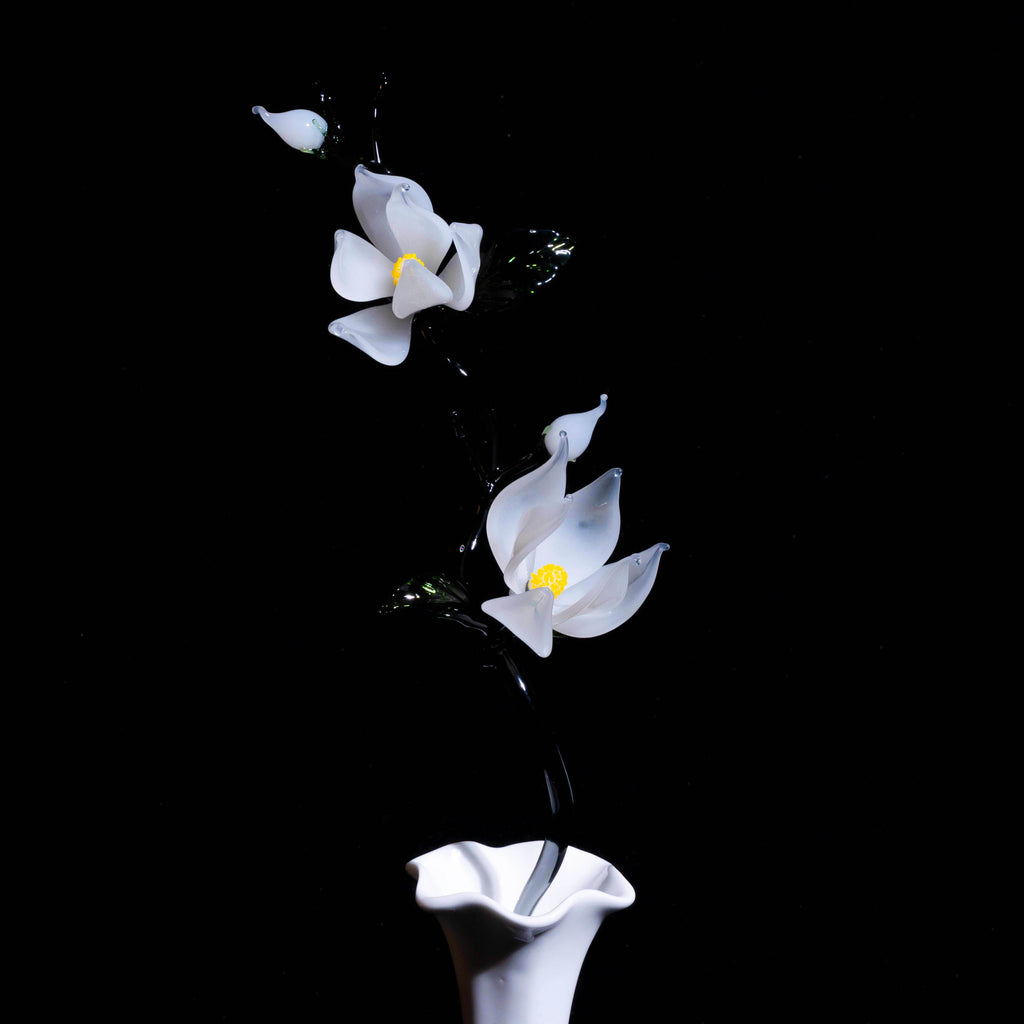 White LiuLi Crystal Orchid（Academic Advancement）