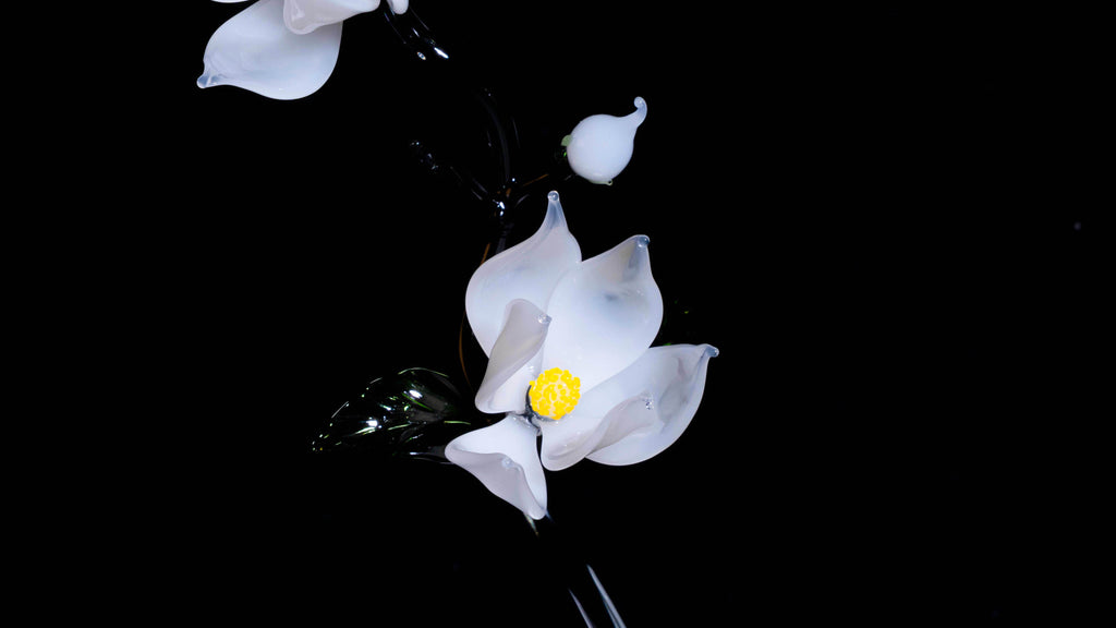White LiuLi Crystal Orchid（Academic Advancement）