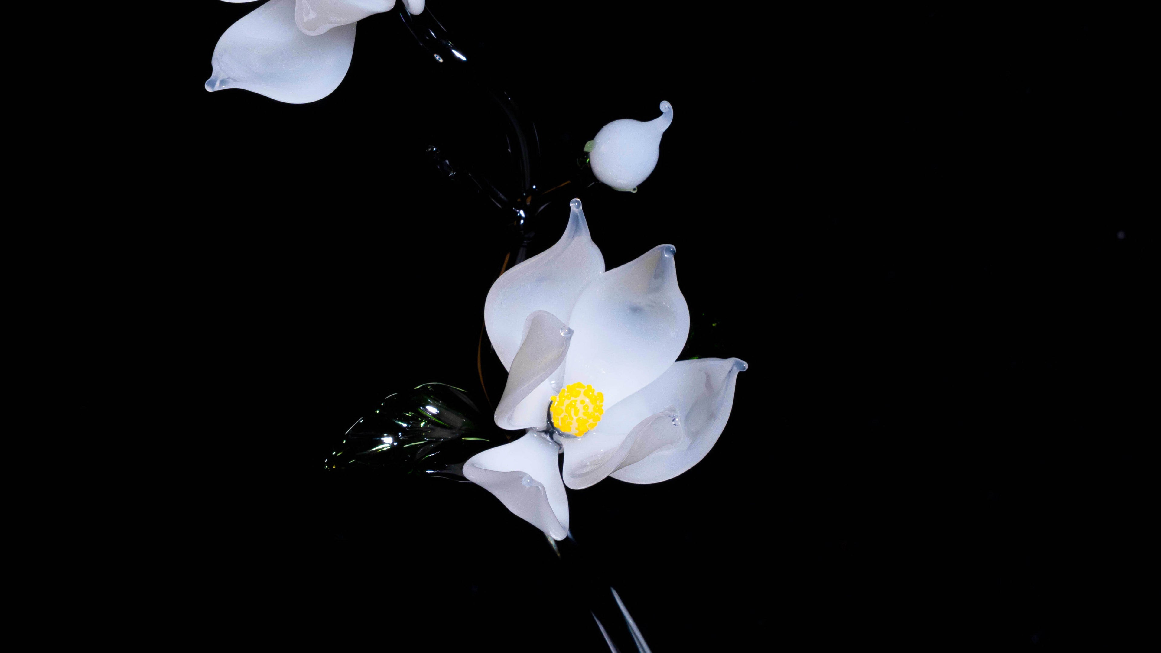 White LiuLi Crystal Orchid（Academic Advancement）