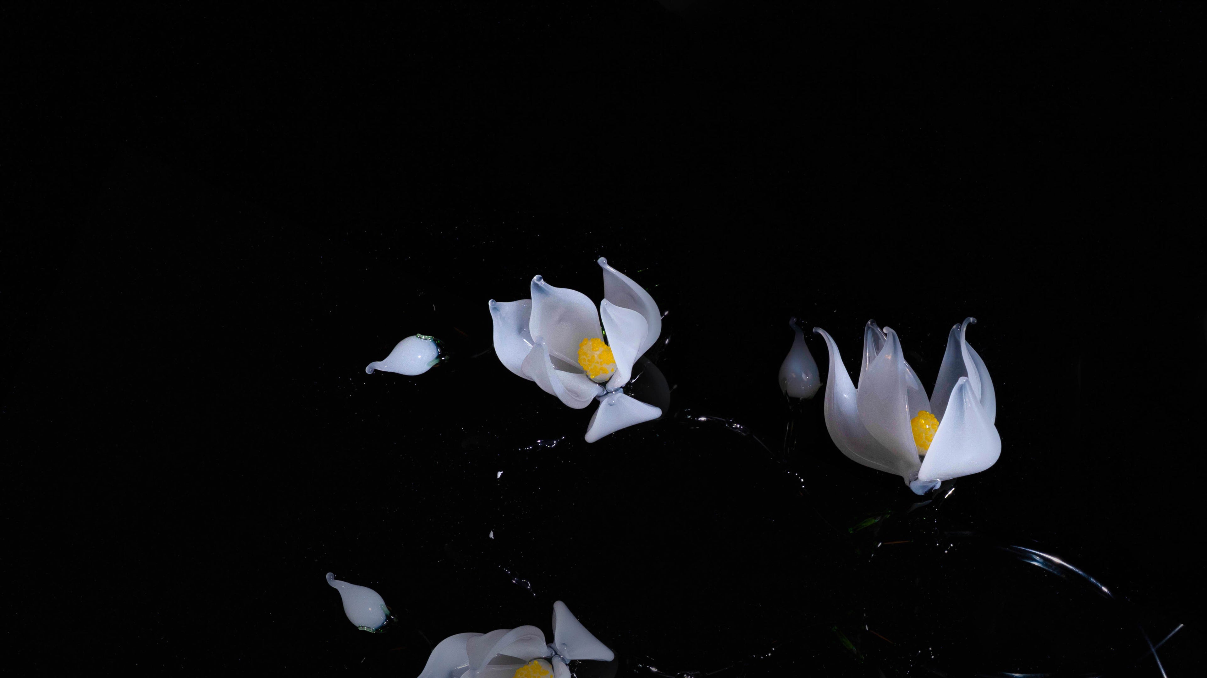 White LiuLi Crystal Orchid（Academic Advancement）