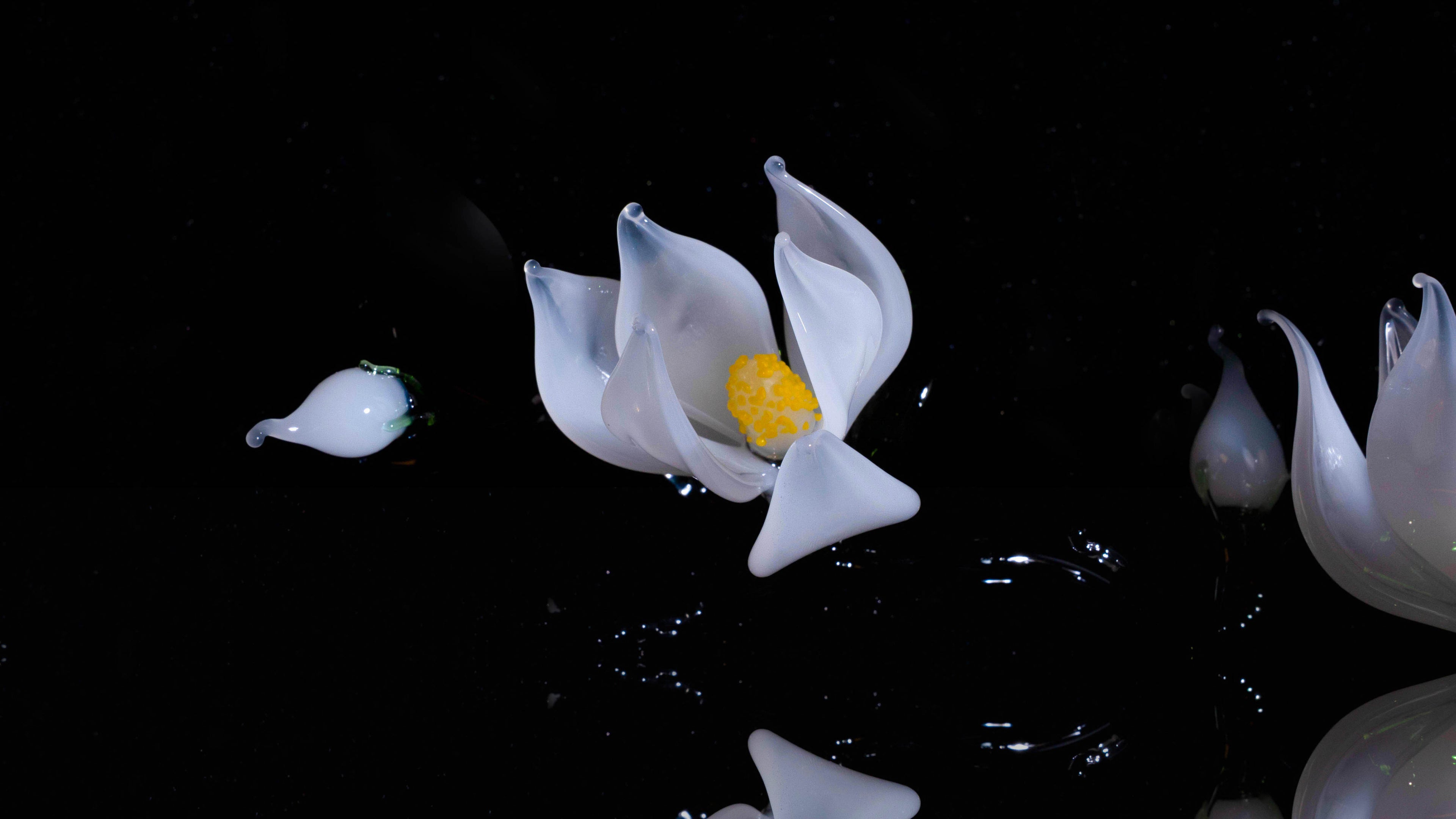 White LiuLi Crystal Orchid（Academic Advancement）