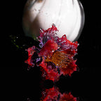 Red LiuLi Crystal Poppy （Purification of the Soul）