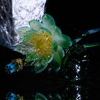 Green LiuLi Crystal Lotus（Health and Longevity）