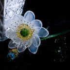 White LiuLi Crystal Lotus （Health and Longevity）