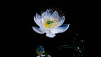 White LiuLi Crystal Lotus （Health and Longevity）