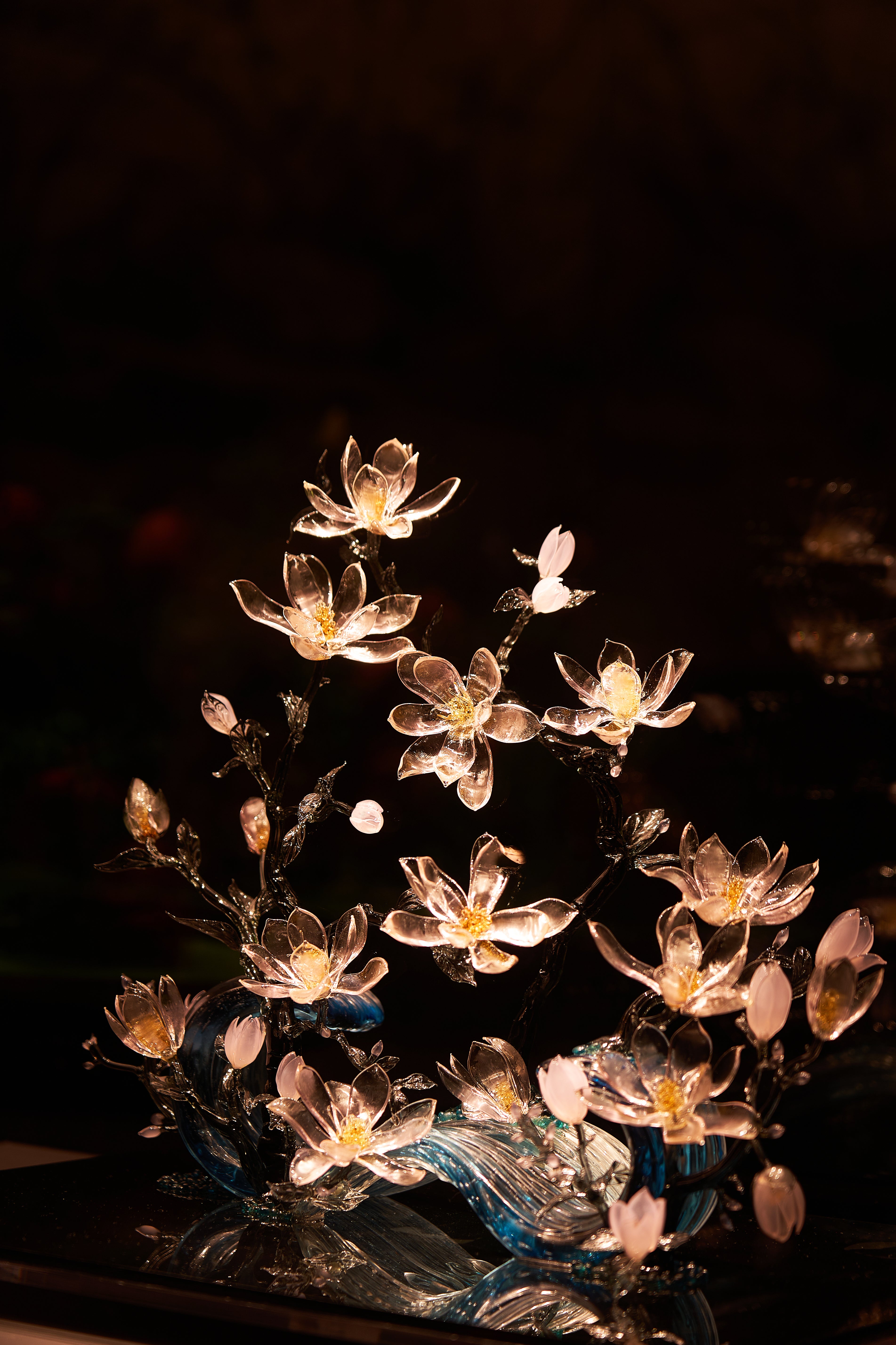 Advanced customization （Please contact us）